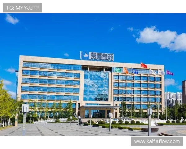 凯发真人集团怎么样，平台的盈利模式与风险控制能力分析